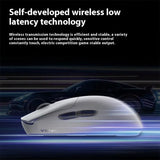 VGN Flying Dragon Y2 Series Wireless  Gaming Mouse